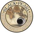 Black Pearl Maritime Security Management