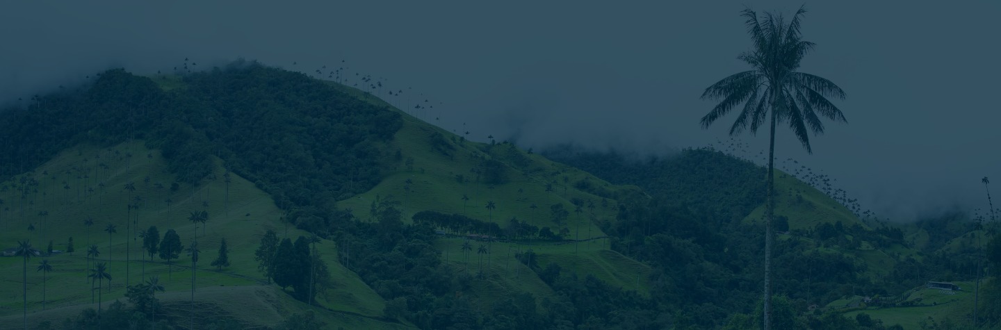 PLAN COLOMBIA: USO MORTAL DE PESTICIDAS