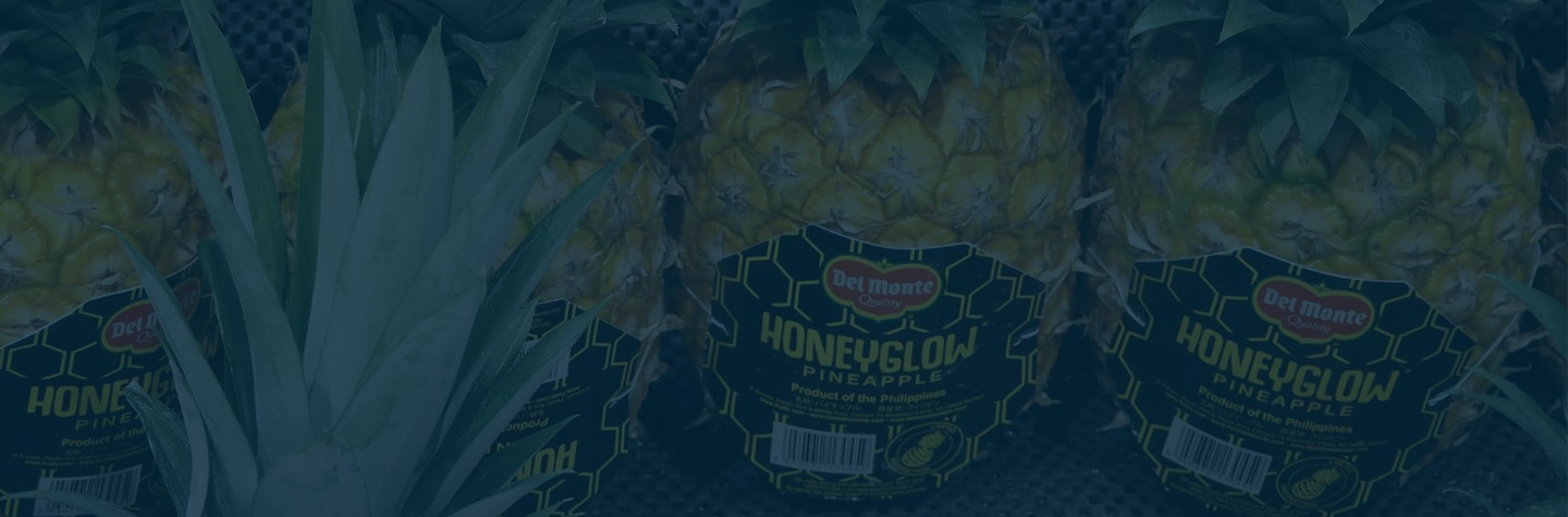 ONGOING CASE: ALLEGATION OF KILLINGS AT PINEAPPLE FARM IN KENYA