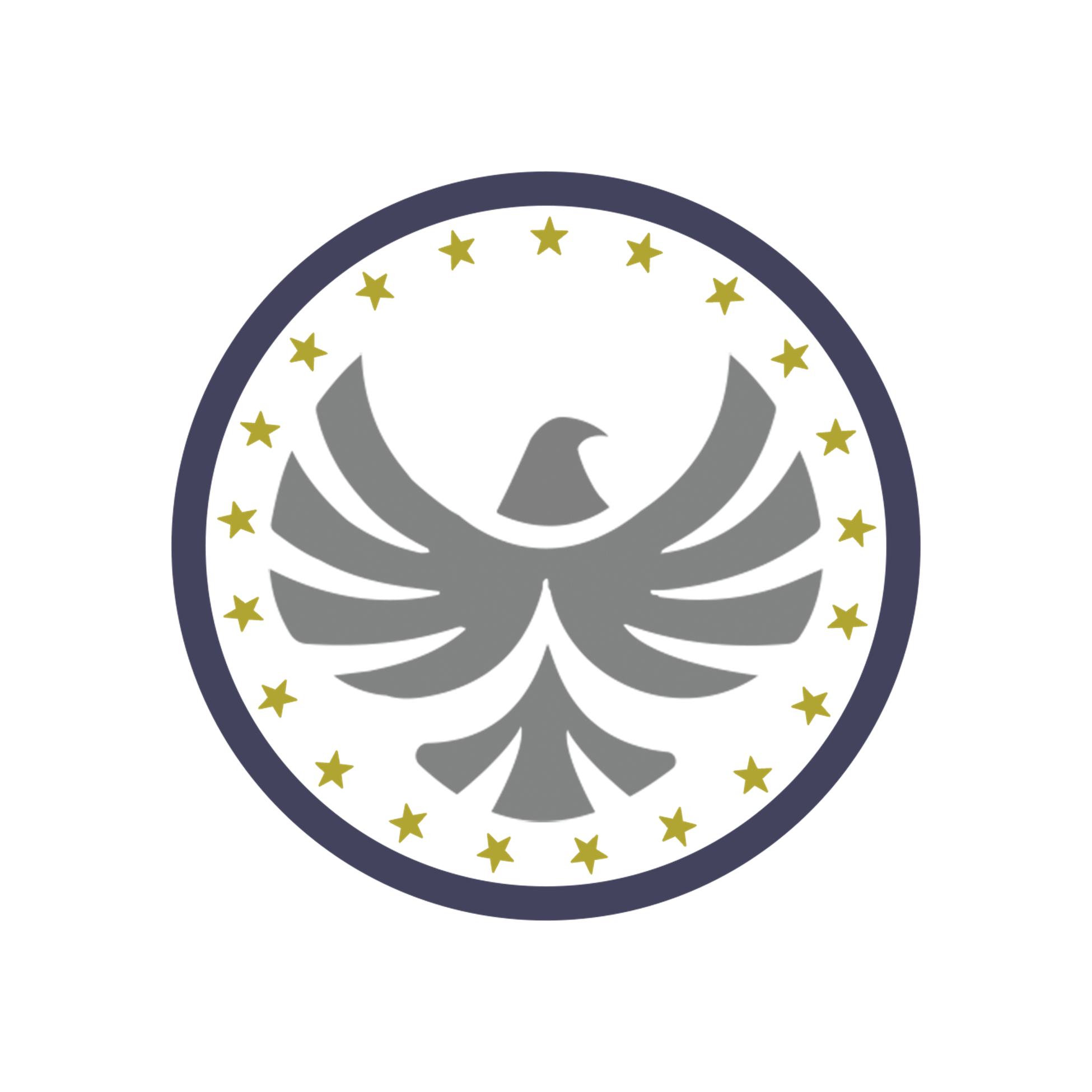 Diri Al-Nassir for security services and private guards