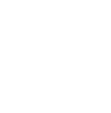 International Alliance of Security and Risk Management Companies  (MACAU)
