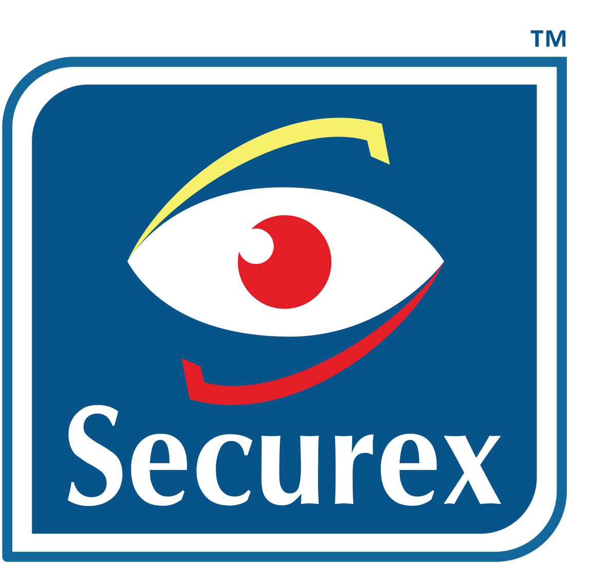 Securex Agencies (Kenya) Limited